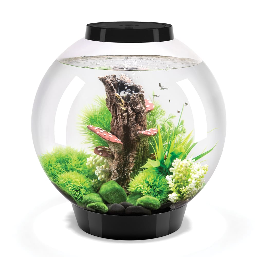 biOrb Classic 30 acrylic sphere aquarium, 30 litres, with remote-controlled LED lighting