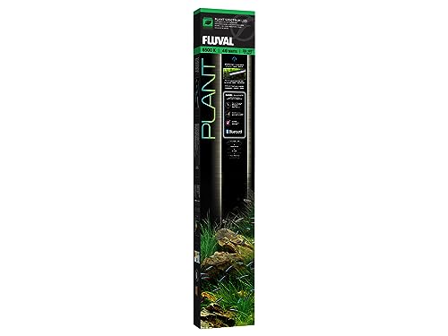 Fluval Plant 3.0 app-controlled LED light mounted over a planted aquarium