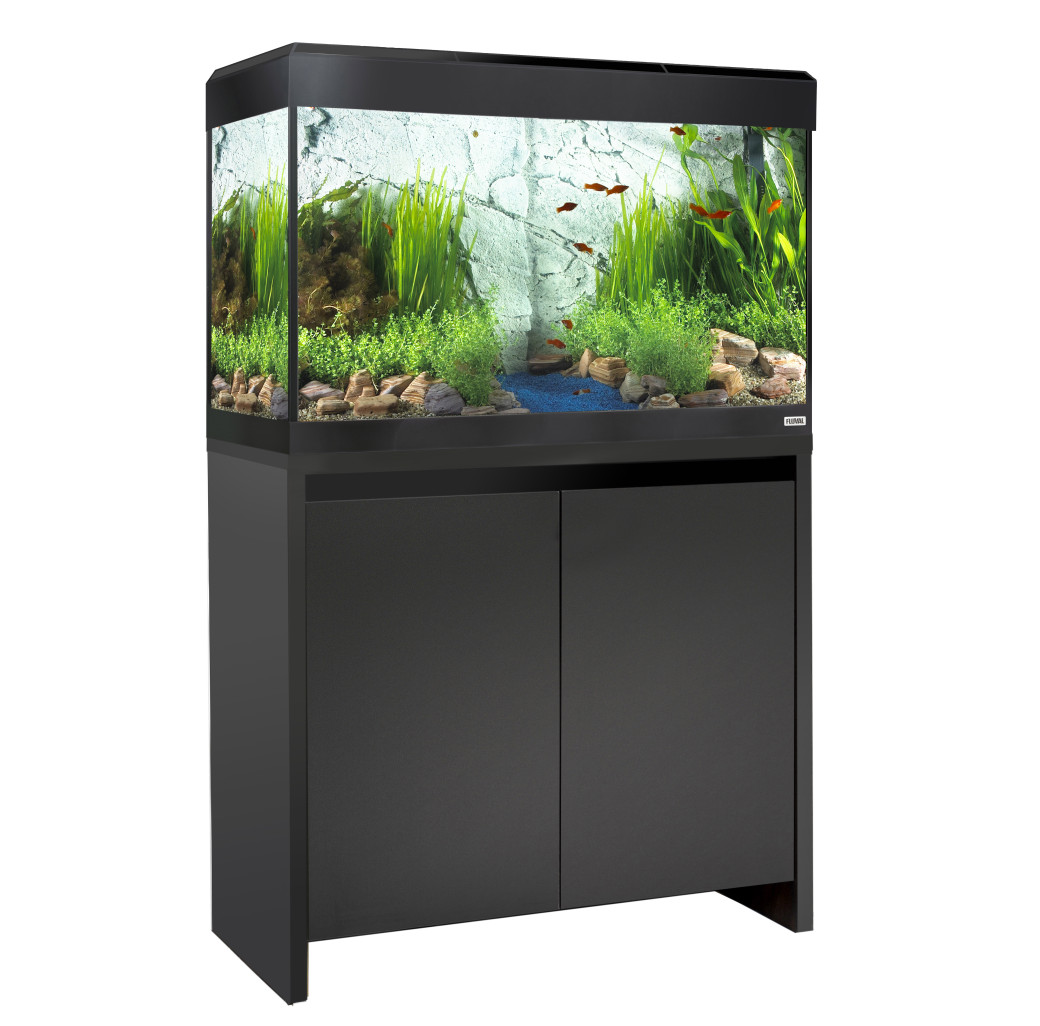 Fluval Roma 125 litre aquarium in black on matching cabinet with planted layout