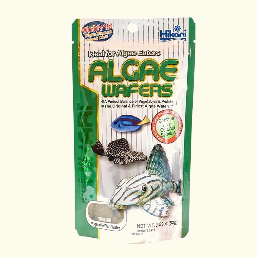 Hikari Algae Wafers sinking fish food pack for algae eaters